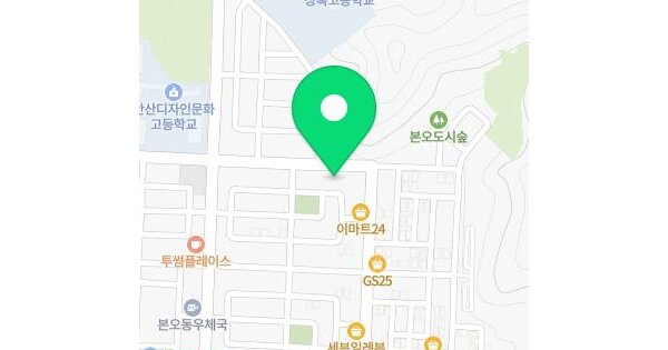 경기도 안산시 상록구 본오동 763-4 노블리안  3층301호 미지정 경매 물건 이미지