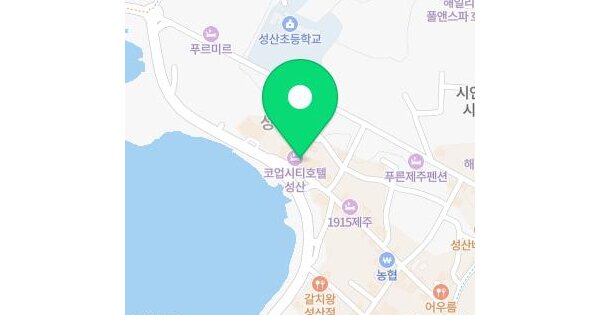 제주특별자치도 서귀포시 성산읍 성산리 250 코업시티호텔  3층334호 미지정 경매 물건 이미지