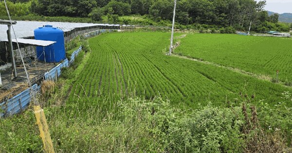 경상북도 김천시 어모면 군자리 463  미지정 경매 물건 이미지