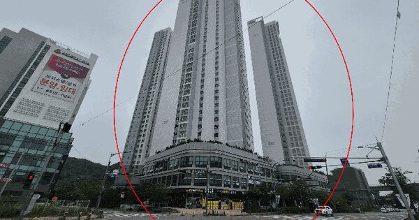 울산광역시 울주군 삼남읍 신화리 1609 금아드림팰리스 202동 26층2604호 미지정 경매 물건 이미지