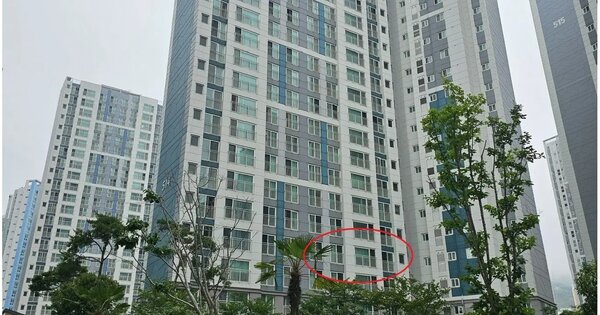 경상남도 양산시 동면 석산리 1447-4 남양산역반도유보라아이비파크5 514동 5층503호 아파트 경매 물건 이미지