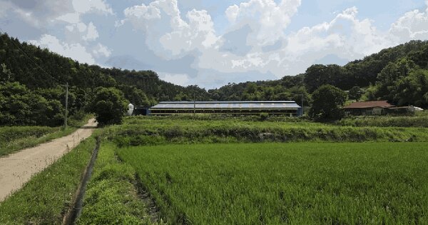 충청남도 홍성군 장곡면 옥계리 353  미지정 경매 물건 이미지