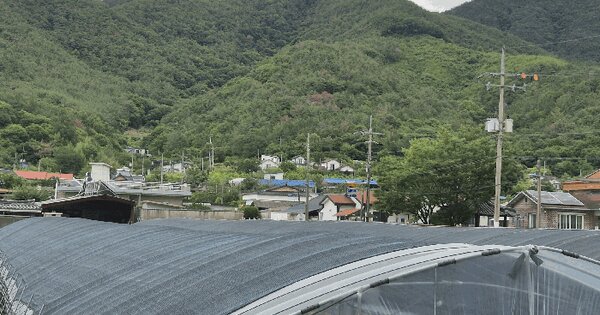 경상남도 밀양시 단장면 안법리 97  미지정 경매 물건 이미지