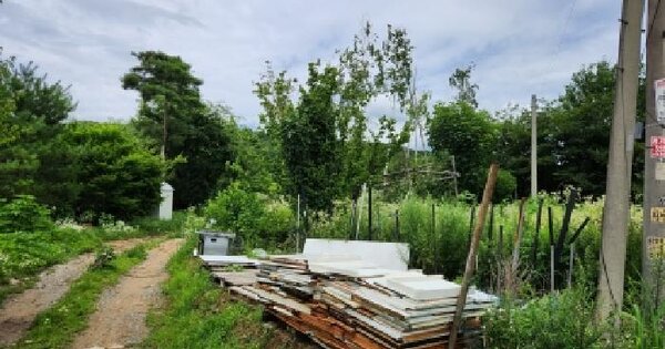경기도 남양주시 금곡동 316  미지정 경매 물건 이미지