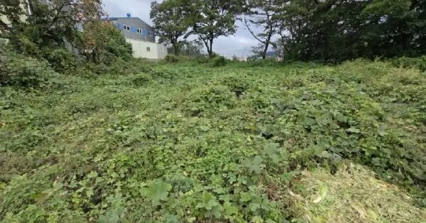 경상남도 양산시 상북면 소석리 573-1 답 경매 물건 이미지