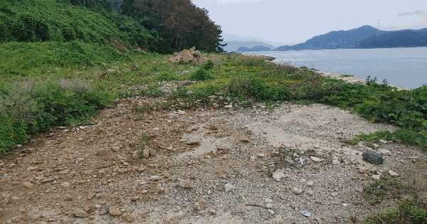 경상남도 통영시 욕지면 동항리 1018-3  미지정 경매 물건 이미지