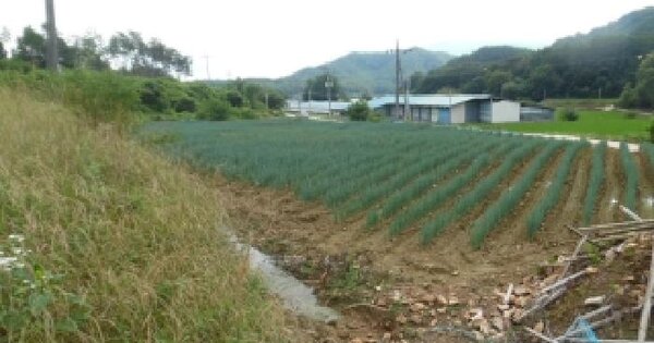 전북특별자치도 진안군 백운면 평장리 311-3  미지정 경매 물건 이미지