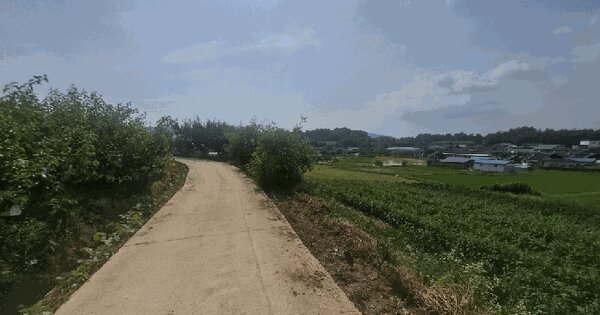 전라남도 나주시 노안면 계림리 253-1  미지정 경매 물건 이미지