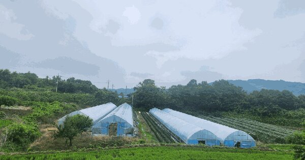 경기도 연천군 왕징면 강내리 592  미지정 경매 물건 이미지