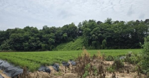충청북도 음성군 삼성면 천평리 566  미지정 경매 물건 이미지