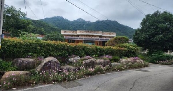 전라남도 보성군 득량면 비봉리 259-3  미지정 경매 물건 이미지