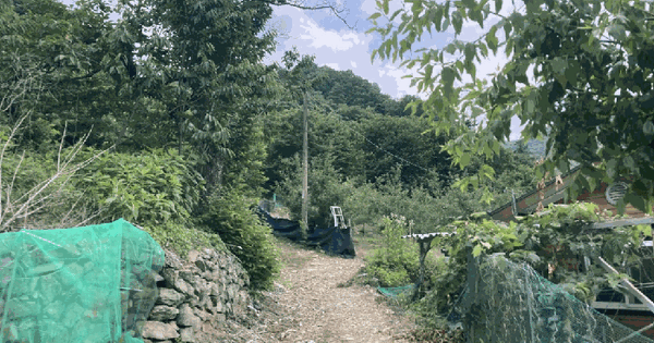 충청북도 괴산군 연풍면 유상리 384 과수원 경매 물건 이미지