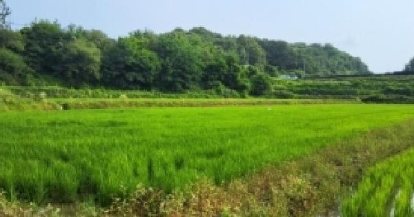 경기도 파주시 적성면 자장리 863  미지정 경매 물건 이미지