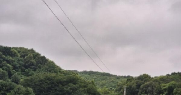 경기도 화성시 효행구 봉담읍 내리 산116-4  미지정 경매 물건 이미지