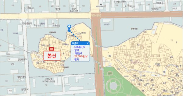 전북특별자치도 군산시 내초동 산4-25  미지정 경매 물건 이미지