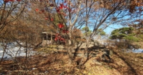 경기도 화성시 만세구 양감면 사창리 산221 임야 경매 물건 이미지