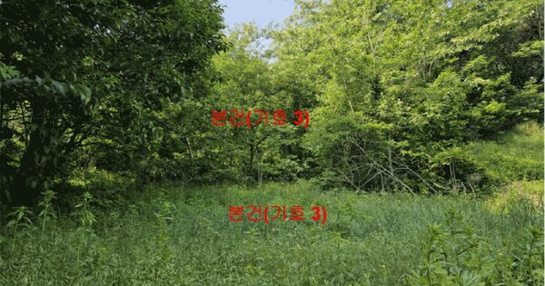 경상남도 거창군 웅양면 신촌리 815 유지 경매 물건 이미지