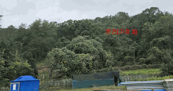 경상남도 합천군 가야면 야천리 989-9 답 경매 물건 이미지