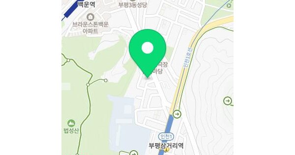 인천광역시 부평구 십정동 573-39 삼화프라임 2동 4층401호 미지정 경매 물건 이미지