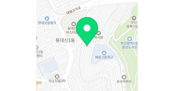 부산광역시 서구 동대신동1가 16-315 동대신빌라  1층101호 미지정 경매 물건 이미지