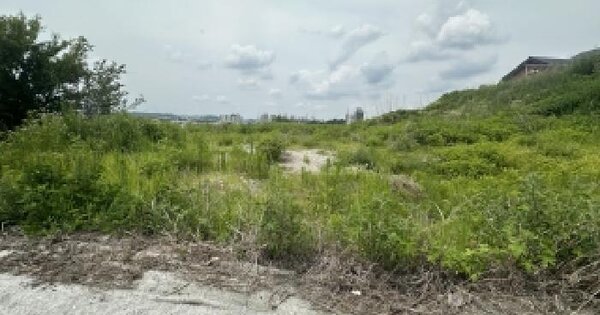 충청북도 청주시 상당구 남일면 효촌리 46-25  미지정 경매 물건 이미지