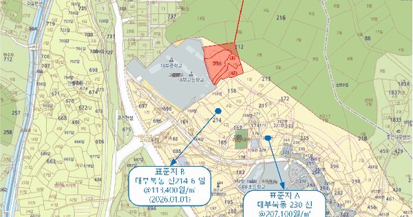 경기도 안산시 단원구 대부북동 158-1  미지정 경매 물건 이미지