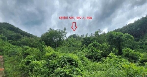 충청북도 영동군 상촌면 대해리 596  미지정 경매 물건 이미지