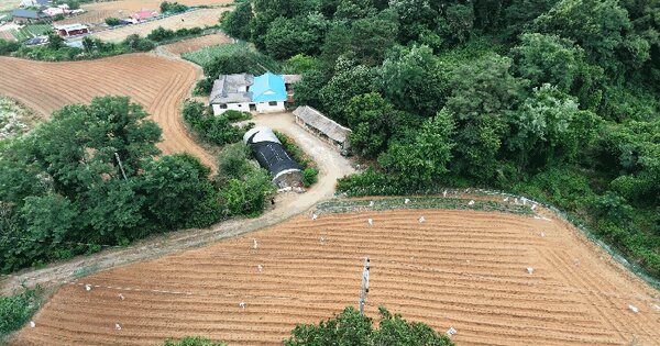 충청남도 당진시 순성면 광천리 산46-2  미지정 경매 물건 이미지