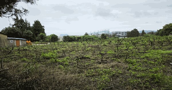 제주특별자치도 서귀포시 동홍동 1926  미지정 경매 물건 이미지
