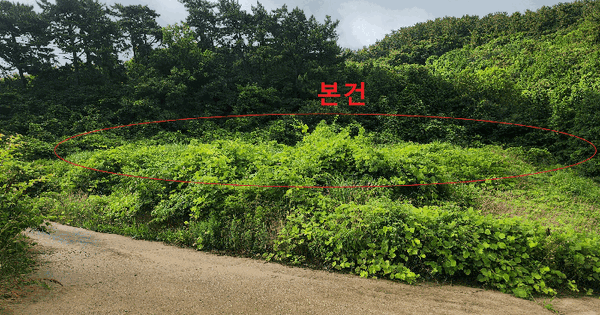 전북특별자치도 고창군 부안면 선운리 698 전 경매 물건 이미지