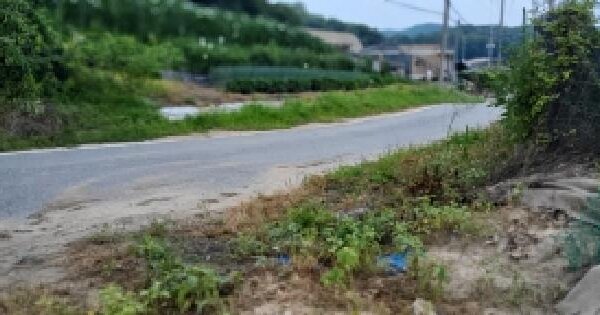 경기도 파주시 법원읍 가야리 132-1  미지정 경매 물건 이미지