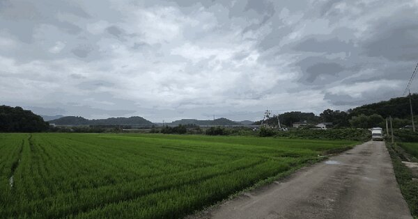강원특별자치도 원주시 문막읍 동화리 1514-1  미지정 경매 물건 이미지
