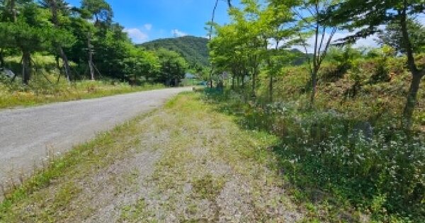 충청북도 단양군 적성면 상리 64-80  미지정 경매 물건 이미지