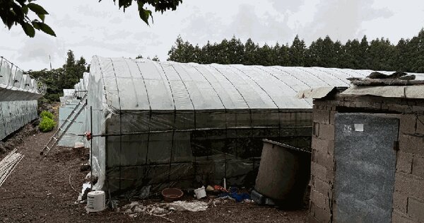 제주특별자치도 서귀포시 토평동 3230-2  미지정 경매 물건 이미지
