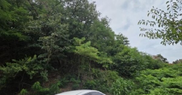 경상북도 안동시 송현동 산134  미지정 경매 물건 이미지