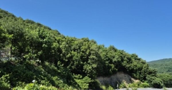 강원특별자치도 원주시 흥업면 대안리 산191-10  미지정 경매 물건 이미지