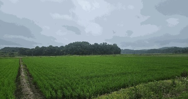 충청남도 당진시 고대면 성산리 1317  미지정 경매 물건 이미지