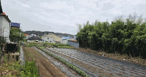 전북특별자치도 군산시 옥구읍 선제리 431-9  미지정 경매 물건 이미지