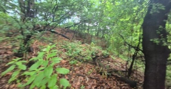 세종특별자치시  부강면 금호리 산43-3  미지정 경매 물건 이미지