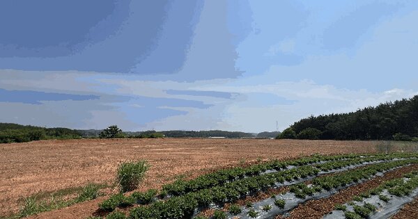충청남도 태안군 남면 신온리 660-136  미지정 경매 물건 이미지