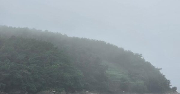 경상남도 남해군 창선면 가인리 산8-1  미지정 경매 물건 이미지