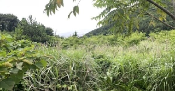 제주특별자치도 제주시 구좌읍 종달리 336-1  미지정 경매 물건 이미지