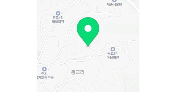 세종특별자치시  전의면 동교리 129-20  미지정 경매 물건 이미지
