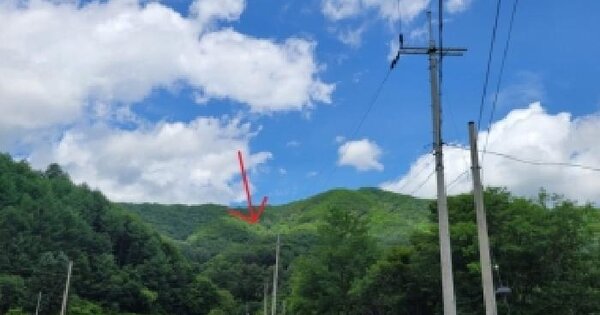 강원특별자치도 평창군 봉평면 흥정리 산8-5  미지정 경매 물건 이미지