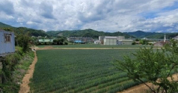 강원특별자치도 평창군 진부면 상진부리 250-90  미지정 경매 물건 이미지