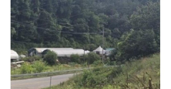 충청북도 충주시 직동 산37  미지정 경매 물건 이미지