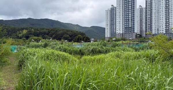 경상남도 거제시 일운면 지세포리 1121-2  미지정 경매 물건 이미지
