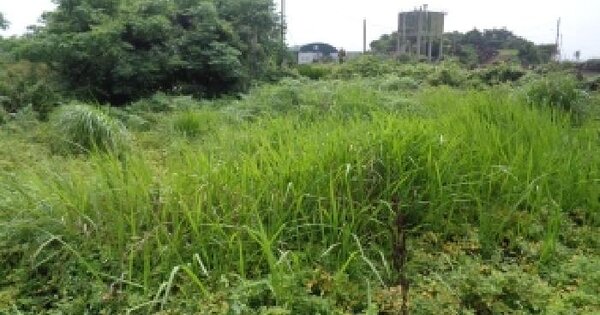 제주특별자치도 제주시 한경면 조수리 3478-3  미지정 경매 물건 이미지