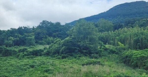 제주특별자치도 제주시 아라일동 367  미지정 경매 물건 이미지