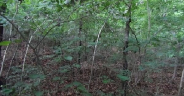 전북특별자치도 전주시 완산구 평화동2가 산79  미지정 경매 물건 이미지